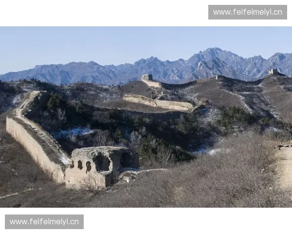 骆在DOTA2赛场的成长之路与他如何以智慧与毅力铸就传奇